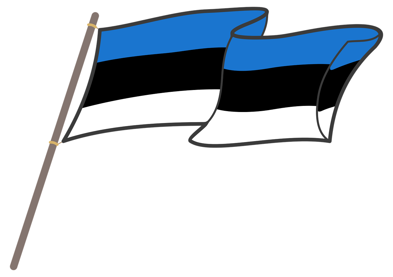 Estonian Flag