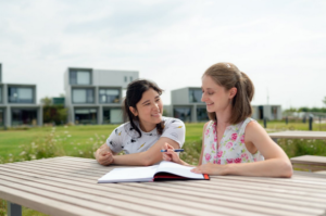 tutoring
